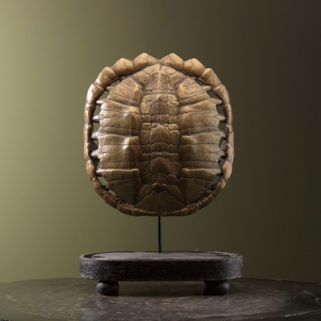 1809 Schildpad Schild Goud Replica